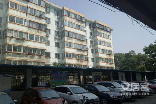 毛条厂宿舍优缺点解析与周边市场观察